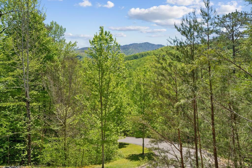 Baby Bear Den Villa Gatlinburg Exterior foto